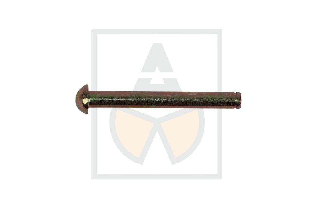 Bolzen 009,00x0081,00