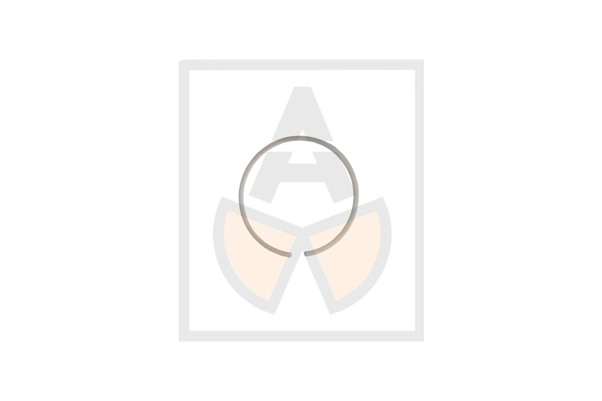 Backring 055,00x060,00x1,00