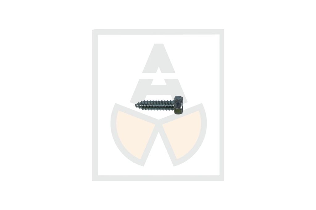 Blechschr.Skt. 06,3x25,0