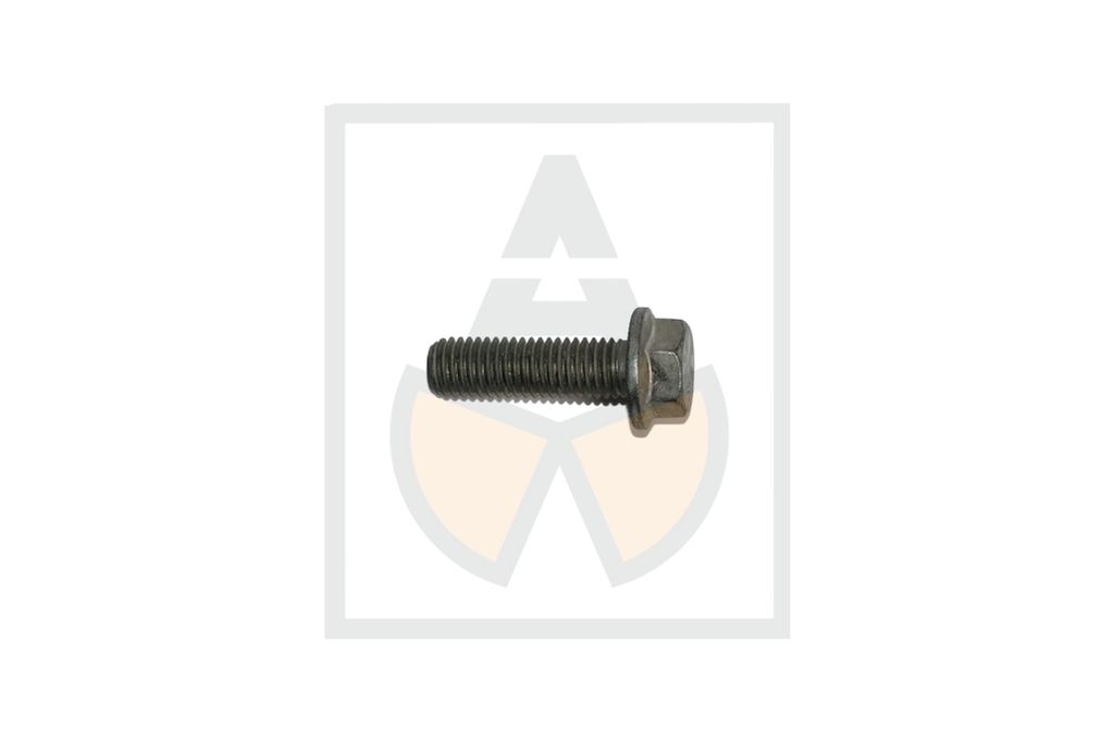 Sperrzahnschraube M 12 x 40