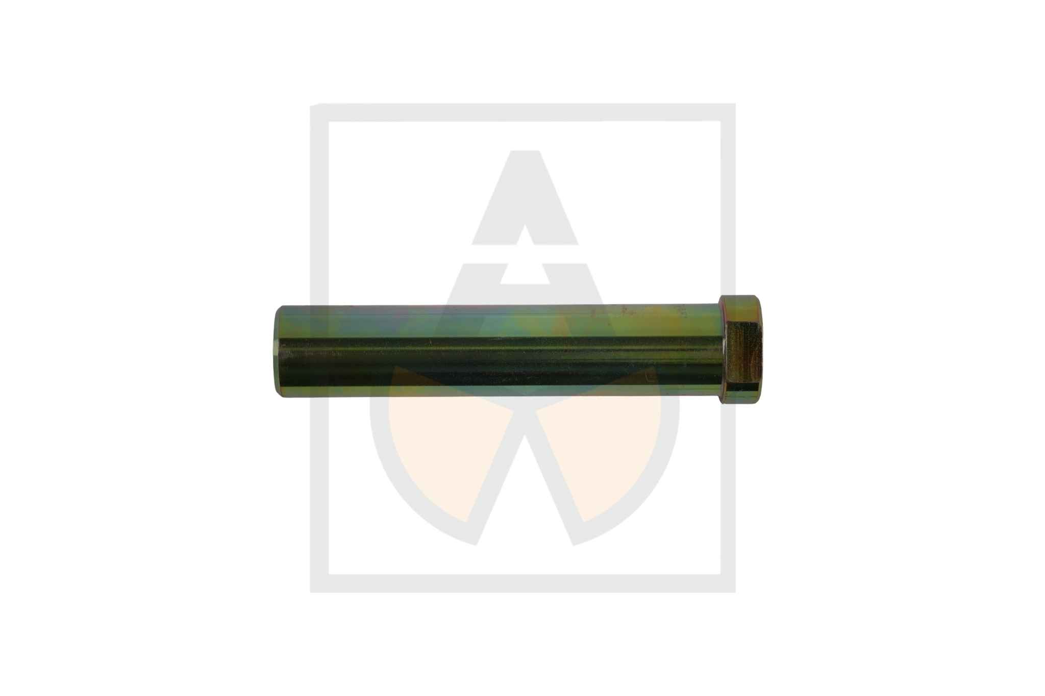Bolzen 025,00x0120,00