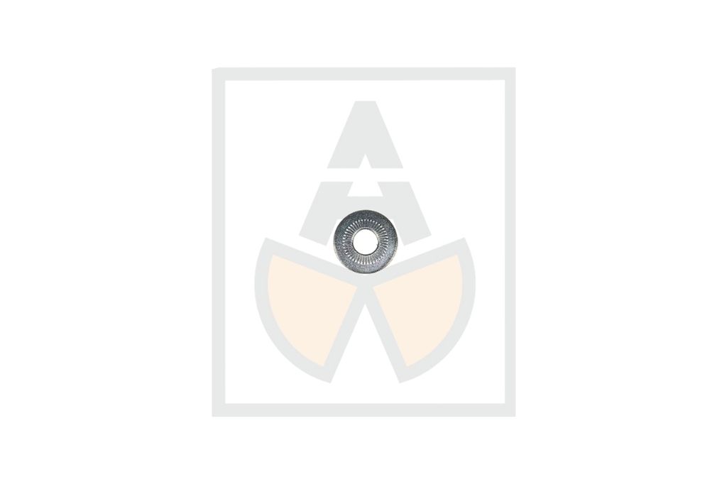 Rippscheibe  8