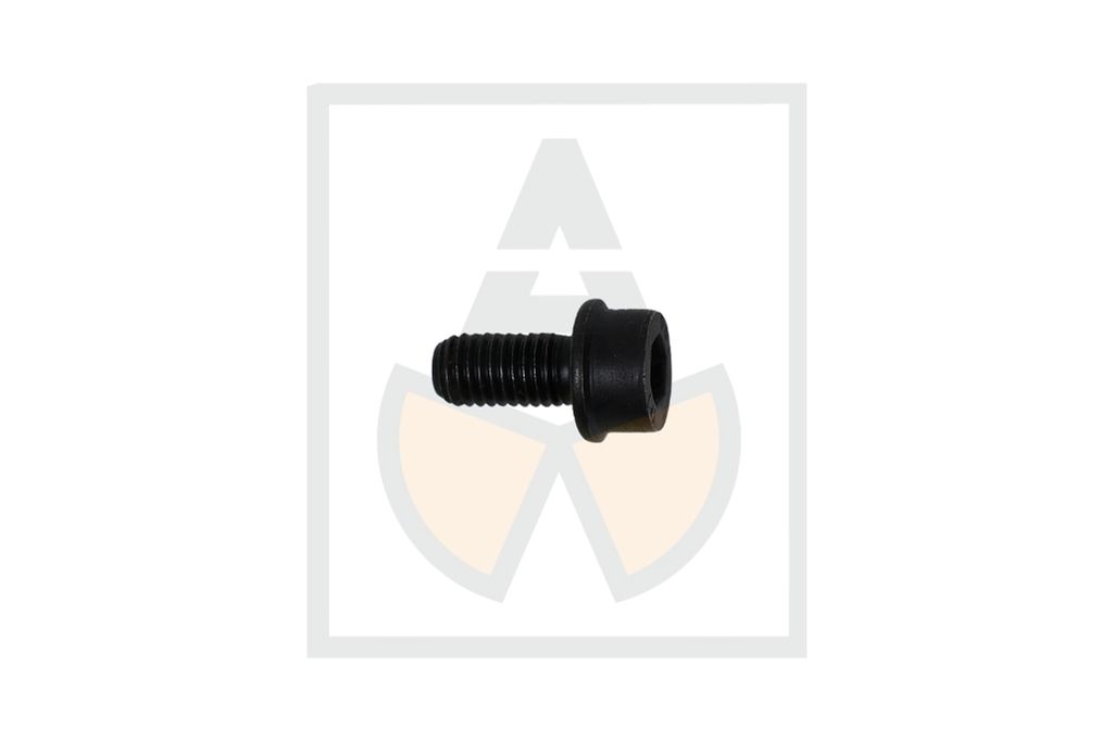 Sperrzahnschraube M 10 x 20