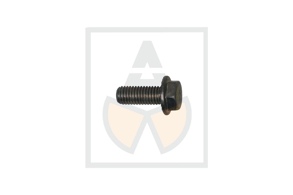 Sperrzahnschraube M 10 x 25