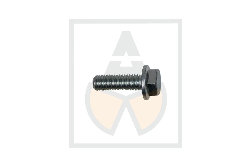 Sperrzahnschraube M 10 x 30