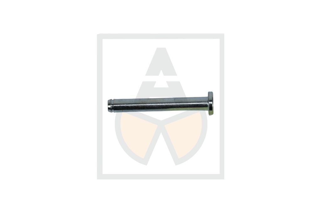 Bolzen 008,00x0055,00