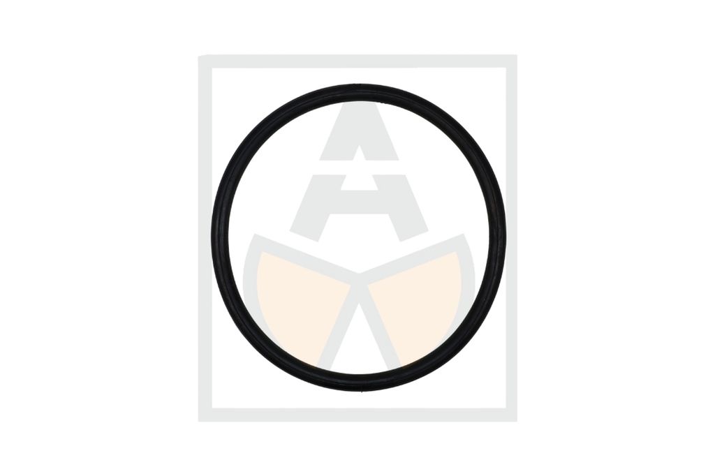 Dichtring DN 100