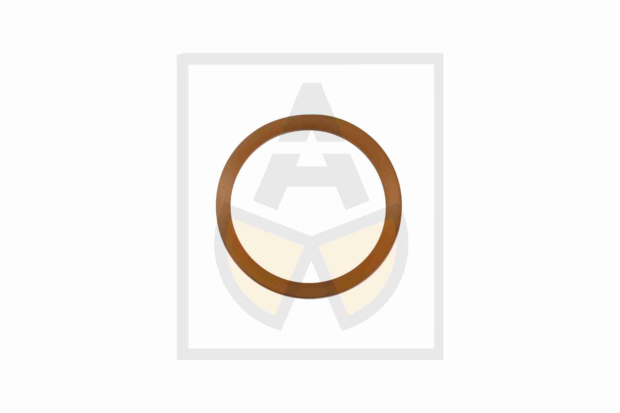 V-Ringdichtung