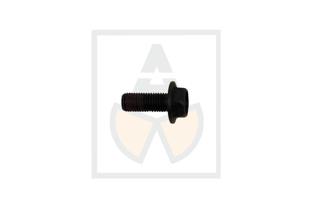 Skt.Schr. M10x025 sw.